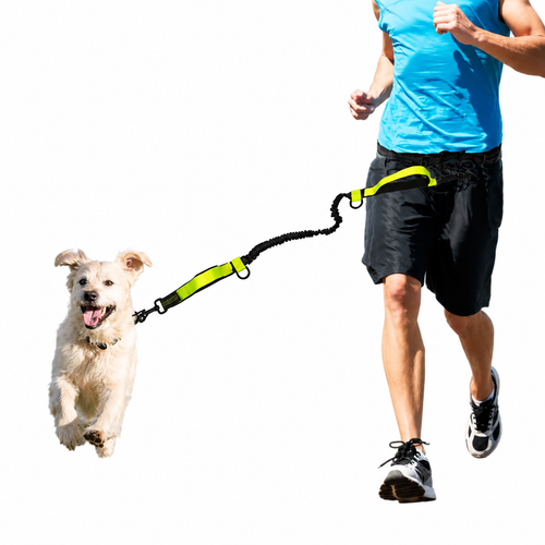 Pet Traction Rope