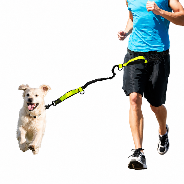 Pet Traction Rope